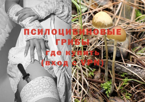 таблы Армянск