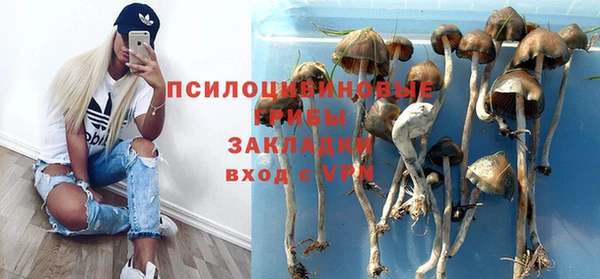 таблы Армянск
