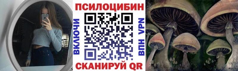 Псилоцибиновые грибы MAGIC MUSHROOMS Кирово-Чепецк